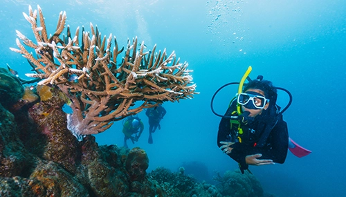 scuba diving